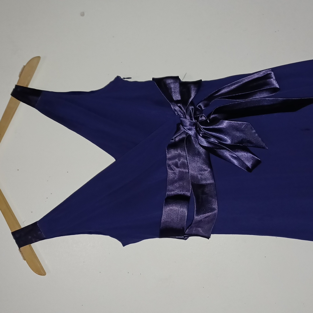 EVAN-PICONE  GORGEOS! PURPLE DRESS sz 10 - Picture 4 of 7